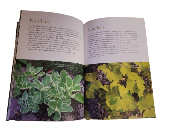 Kirjulehised püsililled ja kõrrelised. Aarne Kähr, sisu