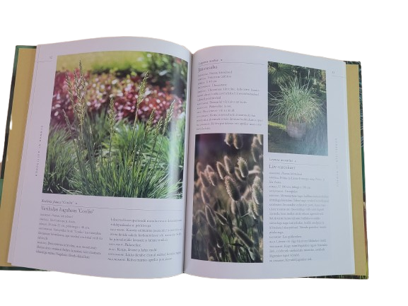 Kaunid kõrrelised. Maalehe Raamat. Susanne Windlundh