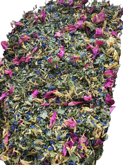 Õhtune melissitee, Taimest