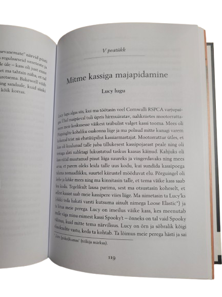 Salapärane kass. Vicky Hallsapärane kass, Vicky Halls, sisu