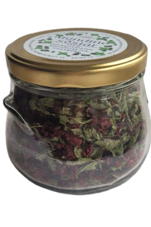 Mündine sõstar